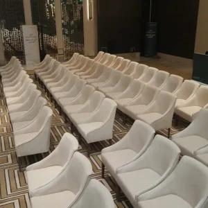 Premium Chairs